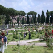 Roseto Comunale di Roma