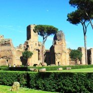 Garden and ancient library of the Baths of Caracalla